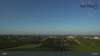Archiv Foto Webcam Weinort Gols 06:00