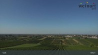 Archiv Foto Webcam Weinort Gols 08:00