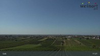 Archiv Foto Webcam Weinort Gols 10:00