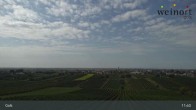 Archiv Foto Webcam Weinort Gols 08:00