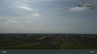 Archiv Foto Webcam Weinort Gols 10:00