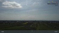 Archiv Foto Webcam Weinort Gols 11:00