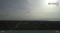 Archiv Foto Webcam Weinort Gols 13:00