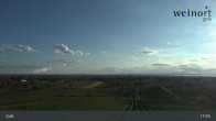Archiv Foto Webcam Weinort Gols 15:00