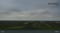 Archiv Foto Webcam Weinort Gols 08:00