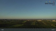 Archiv Foto Webcam Weinort Gols 06:00