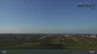 Archiv Foto Webcam Weinort Gols 08:00