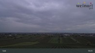 Archiv Foto Webcam Weinort Gols 04:00