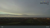 Archiv Foto Webcam Weinort Gols 06:00