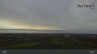 Archiv Foto Webcam Weinort Gols 07:00