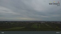 Archiv Foto Webcam Weinort Gols 08:00