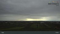 Archiv Foto Webcam Weinort Gols 14:00