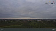 Archiv Foto Webcam Weinort Gols 07:00