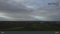Archiv Foto Webcam Weinort Gols 08:00