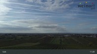 Archiv Foto Webcam Weinort Gols 10:00