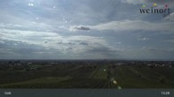 Archiv Foto Webcam Weinort Gols 12:00