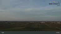 Archiv Foto Webcam Weinort Gols 07:00