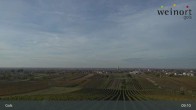 Archiv Foto Webcam Weinort Gols 08:00