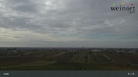 Archiv Foto Webcam Weinort Gols 10:00