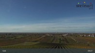 Archiv Foto Webcam Weinort Gols 08:00