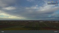 Archiv Foto Webcam Weinort Gols 06:00