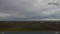 Archiv Foto Webcam Weinort Gols 08:00