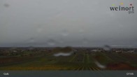 Archiv Foto Webcam Weinort Gols 07:00