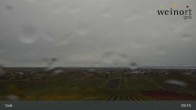 Archiv Foto Webcam Weinort Gols 08:00