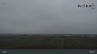 Archiv Foto Webcam Weinort Gols 08:00