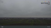 Archiv Foto Webcam Weinort Gols 10:00