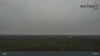 Archiv Foto Webcam Weinort Gols 12:00