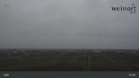 Archiv Foto Webcam Weinort Gols 14:00