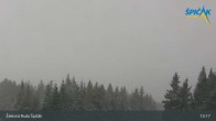 Archiv Foto Webcam Špicák Sessellift 12:00