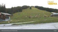 Archiv Foto Webcam Hochkrimml: Panoramarestaurant Filzsteinalm 14:00