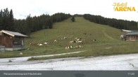 Archiv Foto Webcam Hochkrimml: Panoramarestaurant Filzsteinalm 10:00