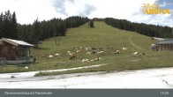 Archiv Foto Webcam Hochkrimml: Panoramarestaurant Filzsteinalm 12:00