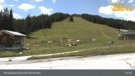 Archiv Foto Webcam Hochkrimml: Panoramarestaurant Filzsteinalm 12:00