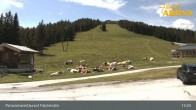 Archiv Foto Webcam Hochkrimml: Panoramarestaurant Filzsteinalm 12:00