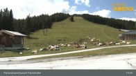 Archiv Foto Webcam Hochkrimml: Panoramarestaurant Filzsteinalm 12:00