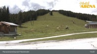 Archived image Webcam Filzsteinalm Restaurant Hochkrimml 12:00