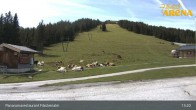 Archiv Foto Webcam Hochkrimml: Panoramarestaurant Filzsteinalm 12:00