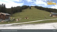 Archiv Foto Webcam Hochkrimml: Panoramarestaurant Filzsteinalm 08:00
