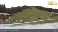 Archiv Foto Webcam Hochkrimml: Panoramarestaurant Filzsteinalm 12:00