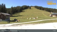 Archiv Foto Webcam Hochkrimml: Panoramarestaurant Filzsteinalm 10:00