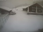 Archived image Webcam Ischgl: Paznauner Taja 11:00
