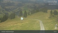 Archiv Foto Webcam Sannerslochgrat - Chaltebrunnen 13:00
