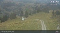 Archiv Foto Webcam Sannerslochgrat - Chaltebrunnen 13:00