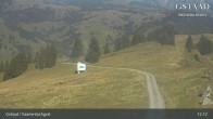 Archiv Foto Webcam Sannerslochgrat - Chaltebrunnen 11:00