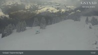 Archived image Webcam Sannerslochgrat - Chaltebrunnen 11:00