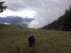 Archiv Foto Webcam Gipfel Ofterschwanger Horn, 1.406 m 09:00